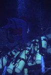 SCUBA diver with oxygen tanks, near Hydrolab, St. Croix [2]