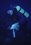 SCUBA diver swimming along a coral reef near St. Croix [10]