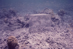 Pico Feo - Cage - Exclusion cage over cemented Porites rubble - 06/16/70 by John C. Ogden