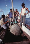 Dr. Ronald Phillips with Miskito fishermen and a green sea turtle (Chelonia mydas)