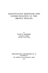 Maintenance Behavior and Communication in the Brown Pelican by Ralph W. Schreiber