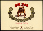 Bulldog by Villazon & Company