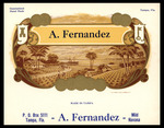 A. Fernandez