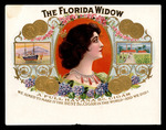 The Florida Widow