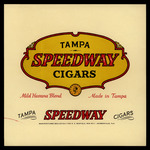 Tampa Speedway, A by R.S. Barfield