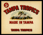 Tampa Tropics