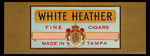 White Heather