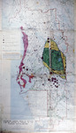 Map, Piezometric Surface, Areas of Artesian Flow and Centers of Pumpage in the Floridan Aquifer, January 1964 by United States Geological Survey
