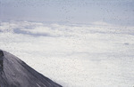 Photograph, Blackened Shoulder of Mount St. Helens