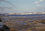 Photograph, Port Washington, New York, View to the North by Unknown