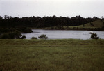 Photograph, On Levy County Side of CFBG