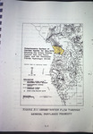 Map, Potentiometric Surface of Floridan Aquifer for May 1975 Showing the Green Swamp, Putnam Hall, and Pasco Highs and the Peninsular Florida Hydrologic Divide by Garald Gordon Parker