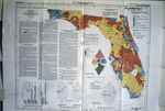 Map and Charts, Chemical Type of Water in Florida Streams by Garald Gordon Parker