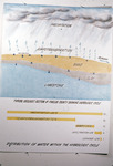 Diagram, Typical Geologic Section of Pinellas County Showing Hydrologic Cycle by Garald Gordon Parker