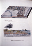 Diagrams, Hydrological Cycle in Florida by Garald Gordon Parker