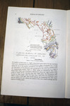 Map, Top of Artesian Floridan Aquifer by Garald Gordon Parker