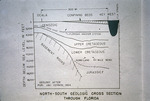 Diagram, North-South Geologic Cross Section through Florida by Garald Gordon Parker