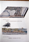 Diagrams, Geological Cross Section of Southern Florida and Hydrological Cycle in Florida by Garald Gordon Parker