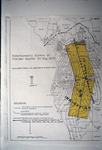 Map, Potentiometric Surface of Floridan Aquifer for May 1970 by Garald Gordon Parker