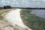 Photograph, Pleasant Grove Reservoir, Plant City, Florida, N by Unknown