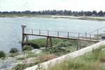 Photograph, Pleasant Grove Reservoir, Plant City, Florida, R by Unknown