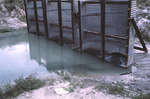 Photograph, Tampa Bypass Canal, C135, G by Unknown