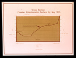 Line Graph, Cross Section Floridan Potentiometric Surface for May 1975 by Garald Gordon Parker