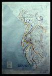 Map, Potentiometric Surface of Floridan Aquifer for January 1964 by Garald Gordon Parker