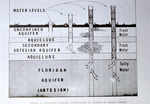 Diagram, Geological Cross Sections of Floridan Aquifer by Garald Gordon Parker
