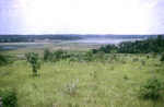 Photograph, View to East and Southeast across Neff Lake, Hernando County by Unknown