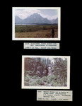 Field Notes, General Hydrology Branch Field Project Photographs, Volume 2, August 1, 1959