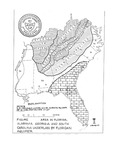 Topographic Map, Floridan Aquifer, August 3, 1977 by Garald Gordon Parker