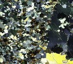 Coweeta Group (MP18-UNC) Zone 2 magnification 500x, Cross polarized light by Aurélie Germa