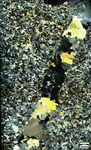 Coweeta Group (MP18-UNC) Full Slide Scan magnification 150x, Cross polarized light by Aurélie Germa