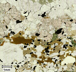 WSG-05 Zone 1, magnification 150x, Plane polarized light