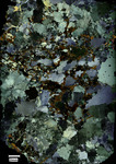 Coweeta Group (WSG-06) Full Slide Scan magnification 150x, Cross polarized light by Aurélie Germa