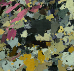 Ashe metamorphic suite and Tallulah Falls Formation (WSFG) Zone 3 magnification 500x, Cross polarized light by Aurélie Germa