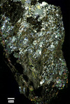 Coweeta Group (WSG-02A) Full Slide Scan magnification 150x, Cross polarized light by Aurélie Germa