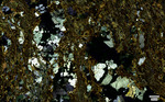 Coweeta Group (WSG-01) Full Slide Scan magnification 150x, Cross polarized light by Aurélie Germa