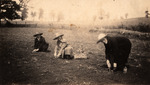 Photograph, Women Working on the Watrous Farm, circa 1890