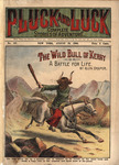 The wild bull of Kerry, or, A battle for life