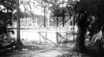 Structural framing begins for the Charles and Edith Ringling Mansion built by George Isenberg Construction by Charles Ringling and New College of Florida (Sarasota, Fla.)