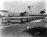 Buses for the Hillsborough County School System by Robertson and Fresh