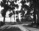 A beach overlooking Tampa Bay by Robertson and Fresh