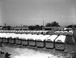 Buses Lined Up at the Tampa Transit Lines Garage by Robertson and Fresh (Firm)