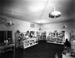 Display and sales at C.S. Taylor Company by Robertson and Fresh
