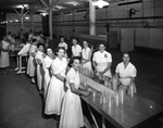 Employees of the Pellar Tropical Fruit Company