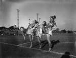 Drum Majorettes During a Football Game at the University of Tampa