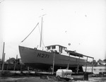 A Fishing boat in dry-dock along the Anclote River