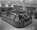 The Interior of Madison Drugs by Robertson and Fresh (Firm)